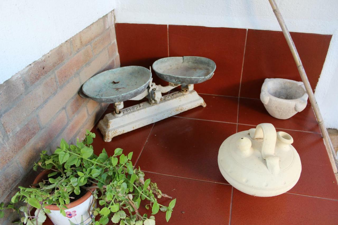 Lo Segador Pension El Poble Nou del Delta Buitenkant foto