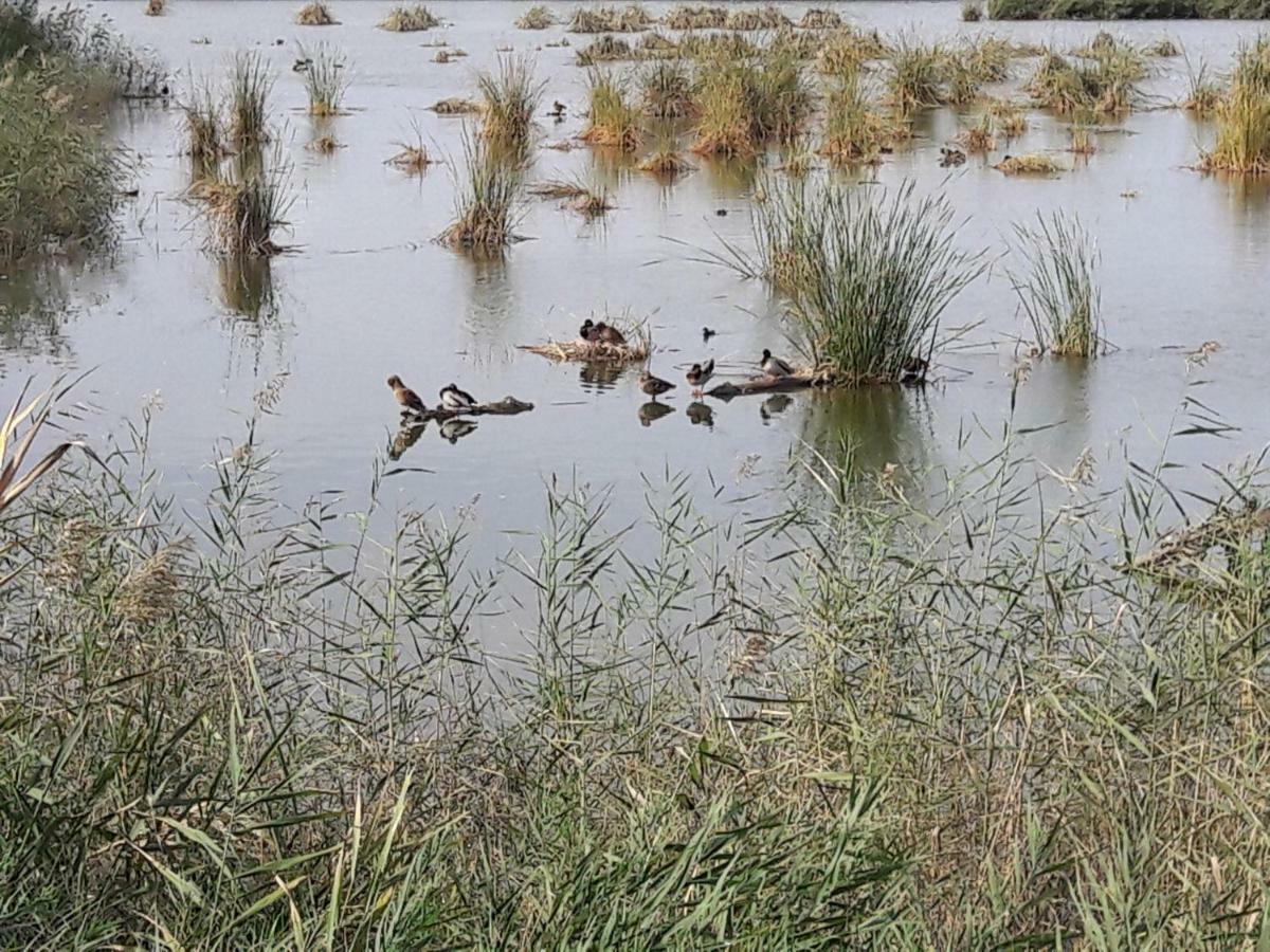Lo Segador Pension El Poble Nou del Delta Buitenkant foto